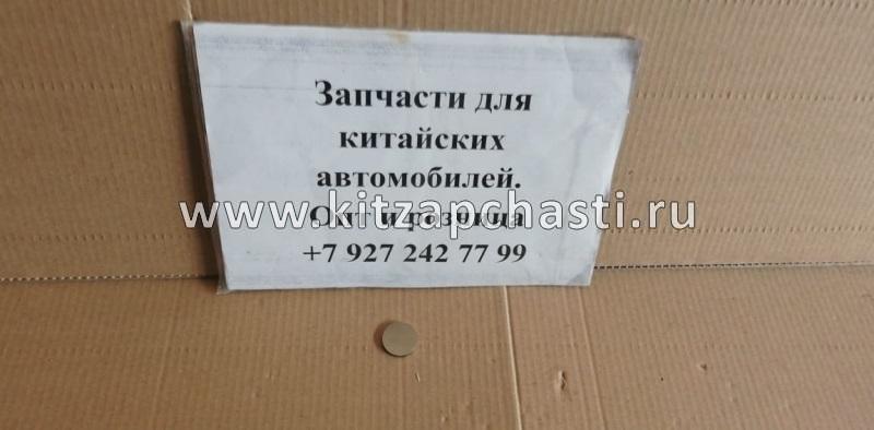 Регулировочная шайба 2.95 Geely Otaka E010001201295